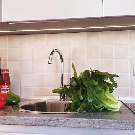 Apartament House Maric *
